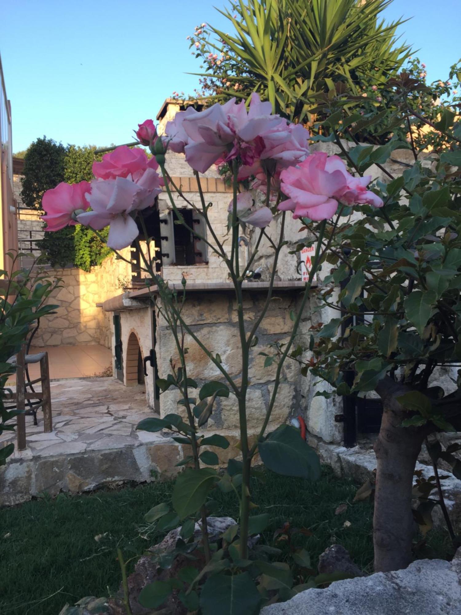 Meliades Villas Agia Marina 외부 사진